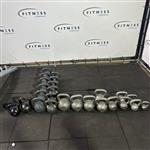 Assortiment Kettleballs