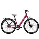 Tenways CGO800S Wild Berry