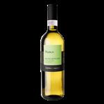 Cantina di Solopaca Beneventano IGT 2024