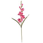 Gladiool Roze Zijdenbloem 60 cm per stuk