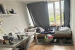 Kamer Paardebloem in Rotterdam