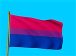 Vlag Biseksualiteit 300x450 cm