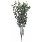 Eucalyptus tak Groen 39 cm bundel 6 stuks