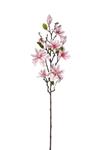 Magnolia tak Licht Roze Zijdenbloem 80 cm per stuk