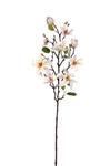 Magnolia tak Ivory/Crème Zijdenbloem 80 cm per stuk