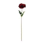 Anemoon Rood/Zwart Zijdenbloem 48 cm per stuk