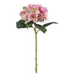 Hortensia Roze/Crème Zijdenbloem 51 cm per stuk