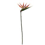 Strelitia Paradijsvogelbloem Oranje Zijdenbloem 90 cm per stuk