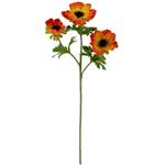 Anemoon Oranje Zijdenbloem 56 cm per stuk