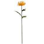 Protea Geel Zijdenbloem 75 cm per stuk