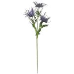 Eryngium Distel Blauw Zijdenbloem 67 cm per stuk