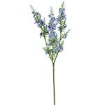 Kattenmunt Blauw Zijdenbloem 75 cm per stuk