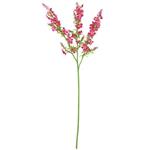 Chloe Kattenmunt Beauty Zijdenbloem 75 cm per stuk
