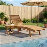 vidaXL Ligstoel 2 pcs Bruin Massief Teakhout