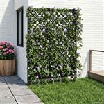 vidaXL Trellis met Spike Antracietkleurig 99 x 6 x 165 cm PP