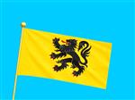 Vlag Gewest Vlaams, Vlaanderen 300x450 cm