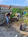 Groenonderhoud in Apeldoorn