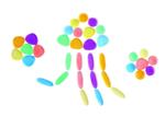 Regenboog stenen (transparant)