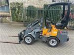 Giant D254SW