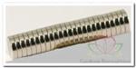 Corsagemagneet light 30 sets (60 magneten) 2 mm