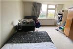Kamer Meibeek in Tilburg