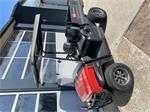 Torro Workman GTX Lithium