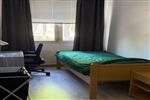 Kamer Roomtuintjes in Amsterdam