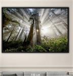 Hope.         Foto op aluminium