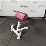 David 70 - Bicep Curl