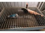 REF:79929E / 9147021095 - 2 Elektrogereedschappen