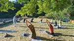 Yoga Teacher Training India Rishikesh