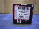 m10x70mm gegalvaniseerd 50ST
