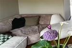 Appartement Joris van Andringastraat in Amsterdam