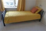 Kamer Theeroos in Rotterdam