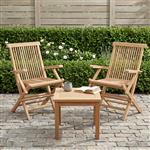 vidaXL Opvouwbare Tuinstoel 2 st Naturel Massief Teakhout