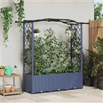 vidaXL Verhoogd Bed met Trellis en Dak Grijs 164 x 40 x 138 cm PP