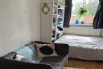 Kamer Kuipersdijk in Enschede