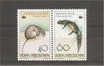 FAUNA - Dinara voles and Rajzerov triton, 