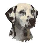 Borduurpakket : Dalmatische Hond