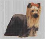 Borduurpakket : Yorkshire Terrier
