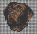 Borduurpakket : Labrador Retriever