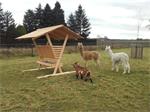 ROBUUSTE HOUTEN RUIF HOOIRUIF duurzaam douglas 