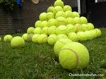(veel) Gebruikte tennisballen voor de hond