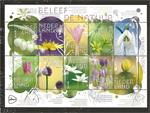Beleef de natuur, stinsenplanten