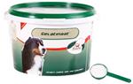 Primeval gelatinaat hond 500 GR