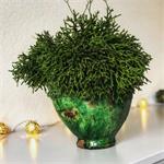 Tamegroute bloempot