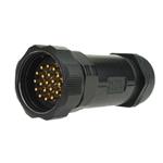 Showtec Socapex 19 Pin male cable connector PG29 IP67