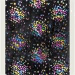 Zwart bont met vlinders folie print
