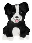 FOFOS PUPPY HOME BORDERCOLLIE