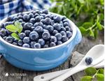 Blauwe bessen, gezonde bessen groot sortiment